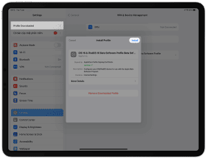 iPadOS Beta Profile