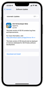 Download iOS 16 Beta Profile