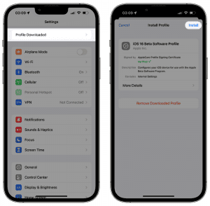 Download iOS 16 Beta Profile